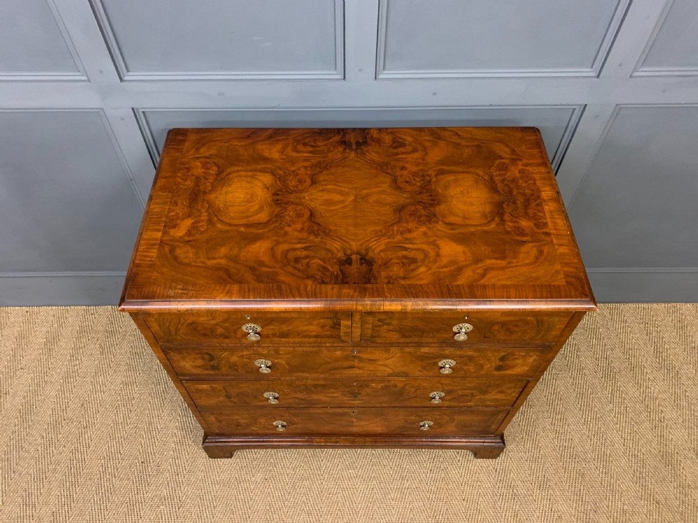 Burr Walnut Chest of Drawers View II