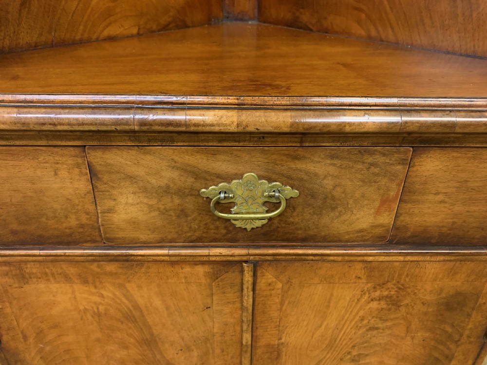 Burr Walnut Corner Cabinet View IX