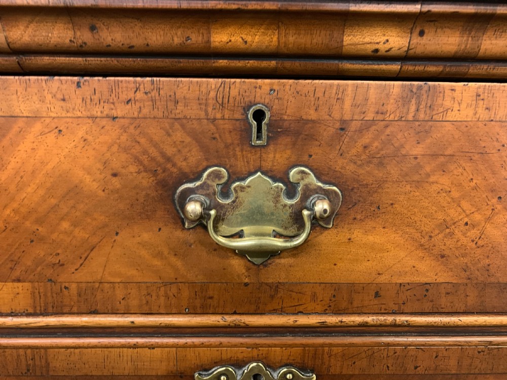 Burr Walnut Chest on Chest View VIII