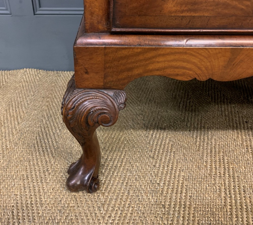 Burr Walnut Press Cupboard View VII