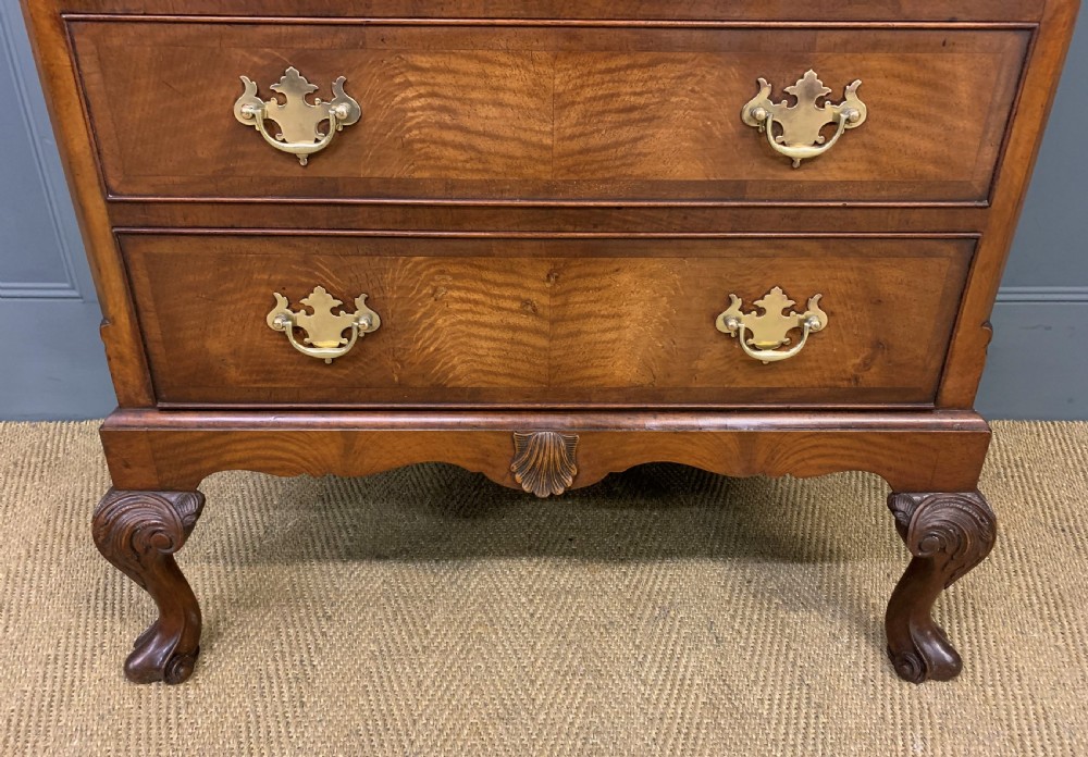 Burr Walnut Press Cupboard View VIII