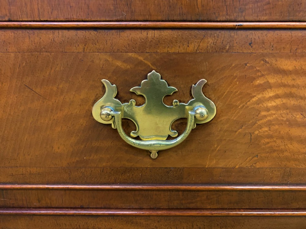 Burr Walnut Press Cupboard View X