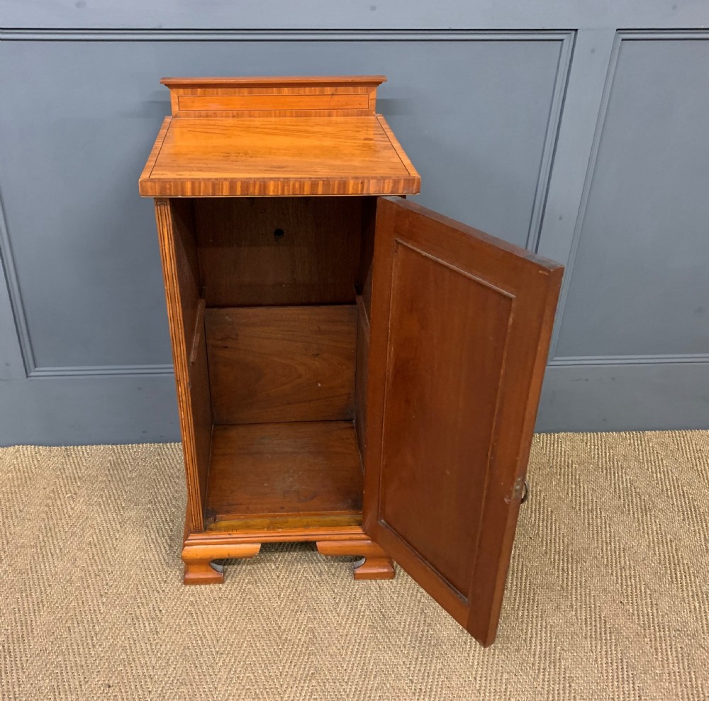 Inlaid Satinwood Bedside Cupboard View IV