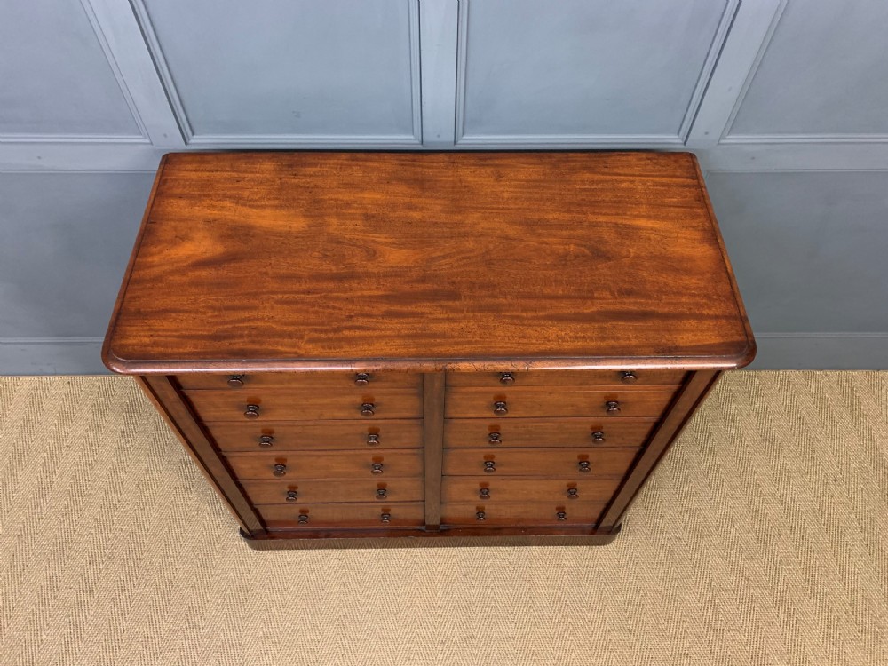 19th Century Mahogany Double Wellington Chest View II