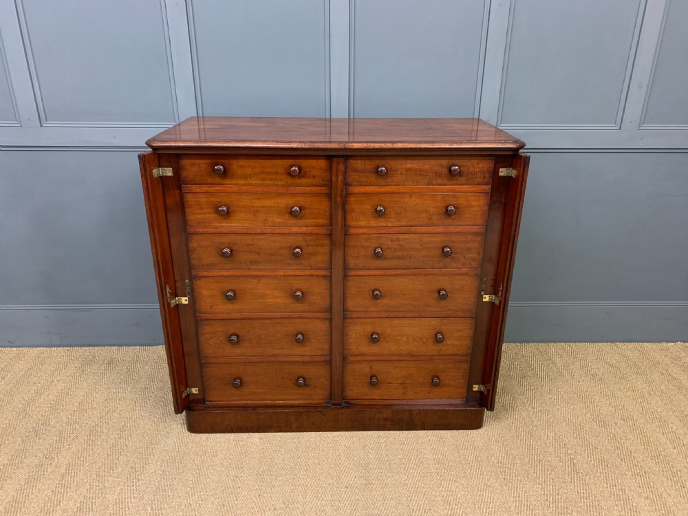 19th Century Mahogany Double Wellington Chest View III