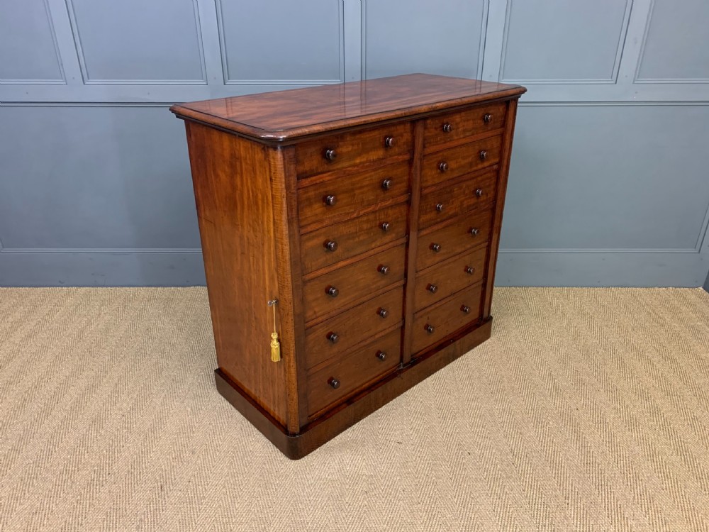 19th Century Mahogany Double Wellington Chest View IV