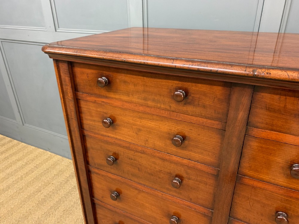 19th Century Mahogany Double Wellington Chest View VI