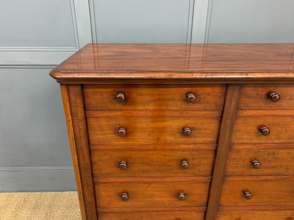 19th Century Mahogany Double Wellington Chest View VII