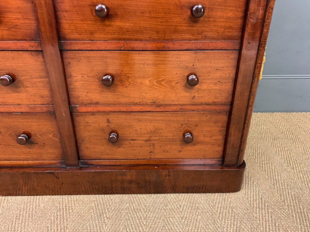 19th Century Mahogany Double Wellington Chest View VIII