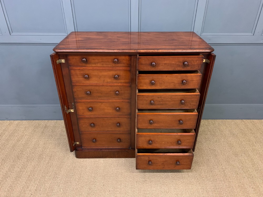 19th Century Mahogany Double Wellington Chest View IX