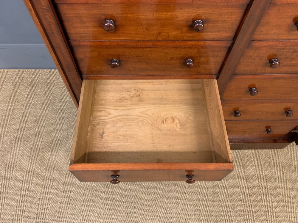 19th Century Mahogany Double Wellington Chest View XI