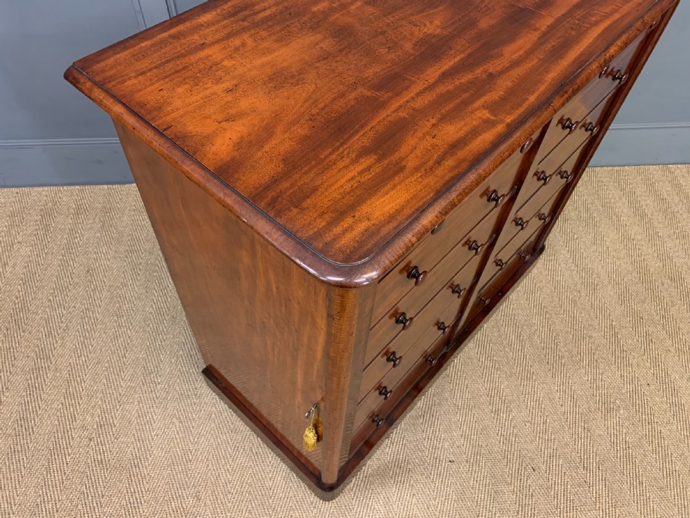 19th Century Mahogany Double Wellington Chest View XIII