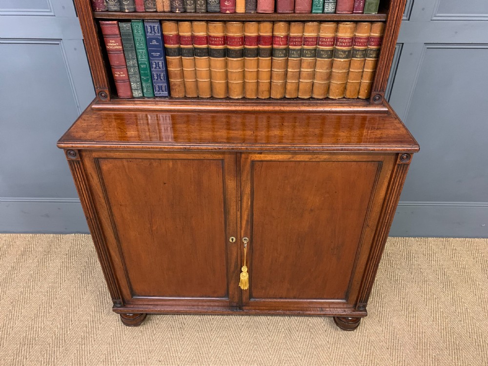 Georgian Mahogany Open Bookcase Cabinet View IV