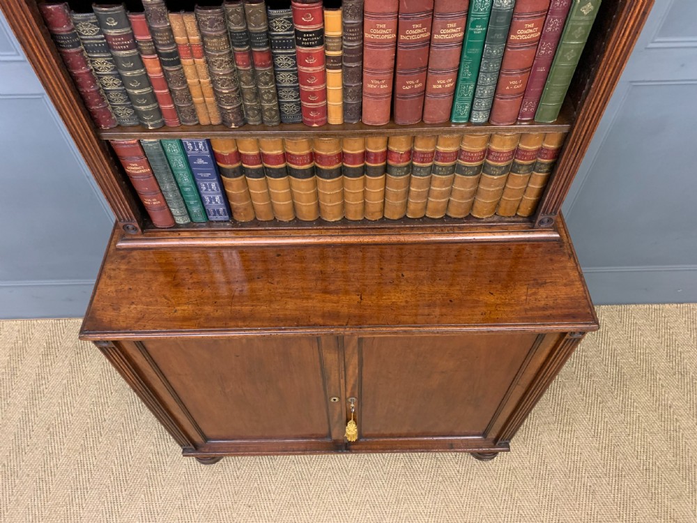 Georgian Mahogany Open Bookcase Cabinet View VIII