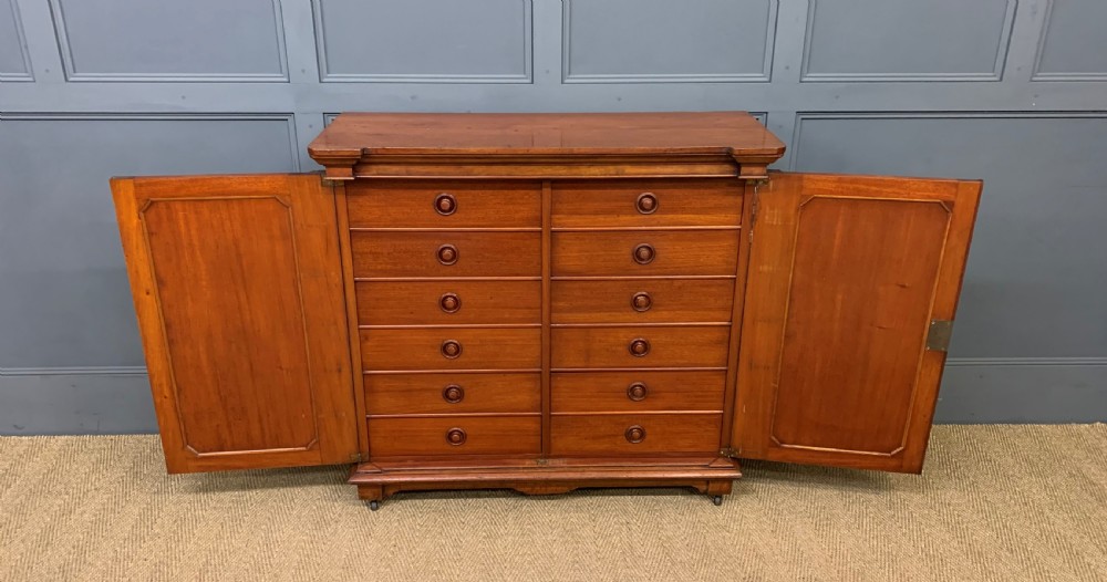Victorian Mahogany Collectors Cabinet View VII