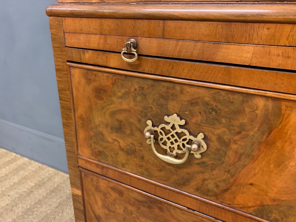 Burr Walnut Linen Press View V