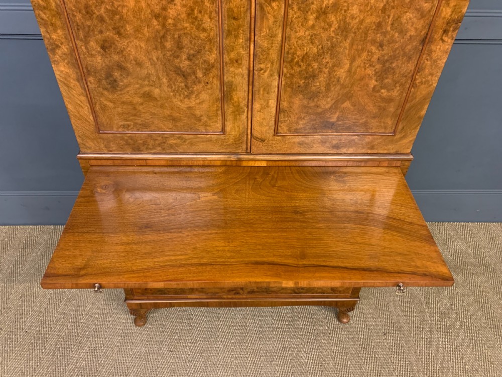 Burr Walnut Linen Press View IX