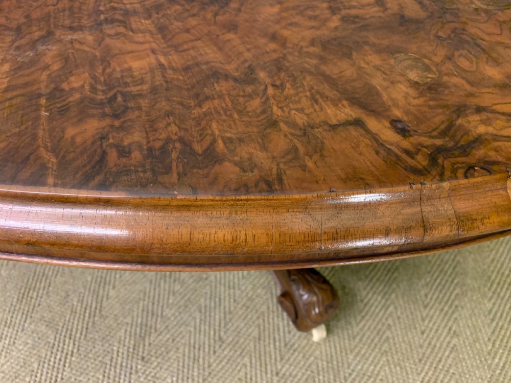 Victorian Oval Burr Walnut Coffee Table View IV