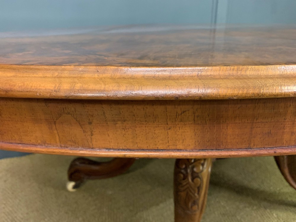 Victorian Oval Burr Walnut Coffee Table View IX