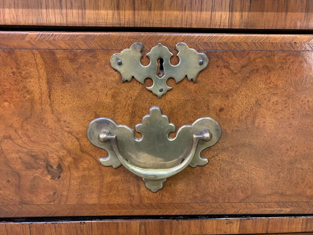 Burr Walnut Chest of Drawers View V