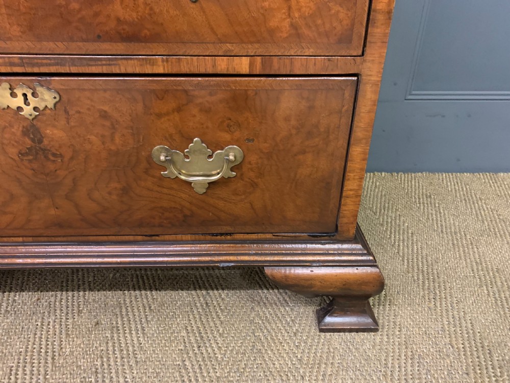 Burr Walnut Chest of Drawers View VI