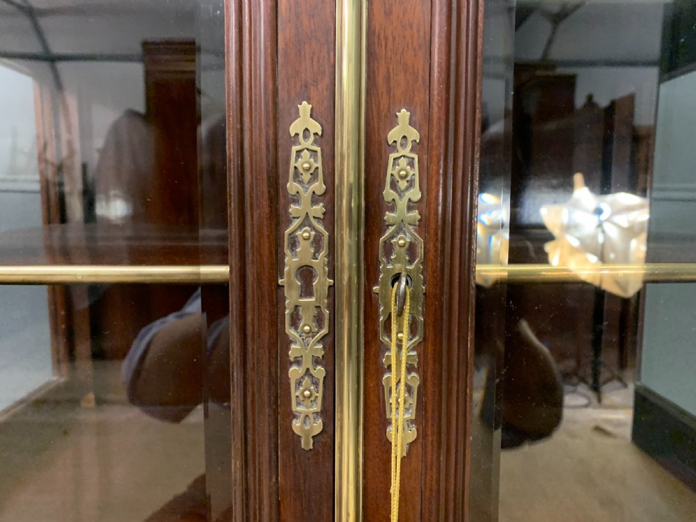 Brass Mounted Mahogany Display Cabinet View XI