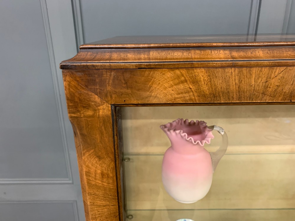 Queen Anne Style Burr Walnut Display Cabinet View VI