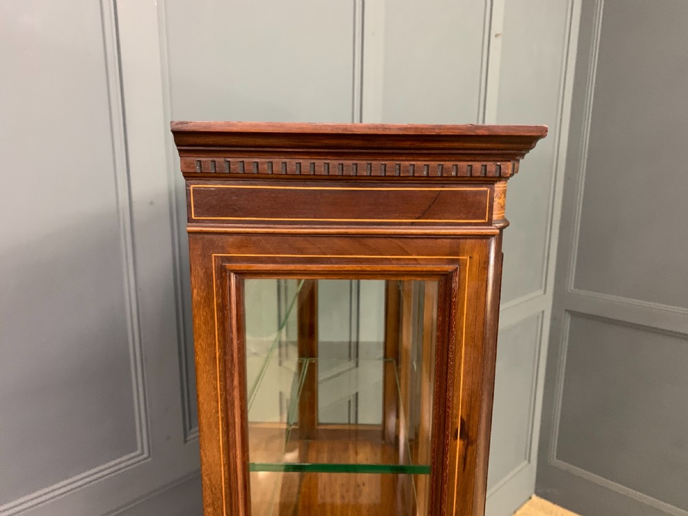 Edwards and Roberts Inlaid Mahogany Display Cabinet View XX