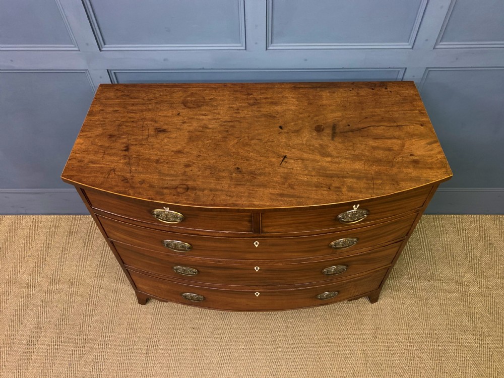 Georgian Mahogany Bow Fronted Chest of Drawers View III