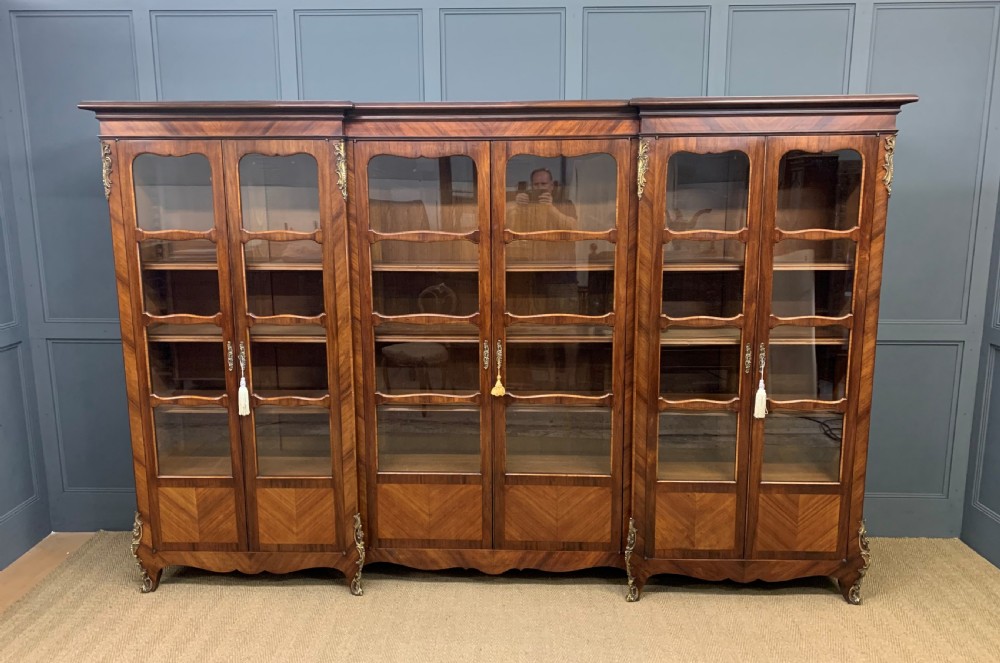 Large Sized French Kingwood Bookcase View III