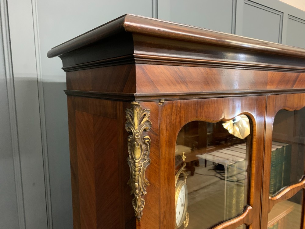 Large Sized French Kingwood Bookcase View VIII