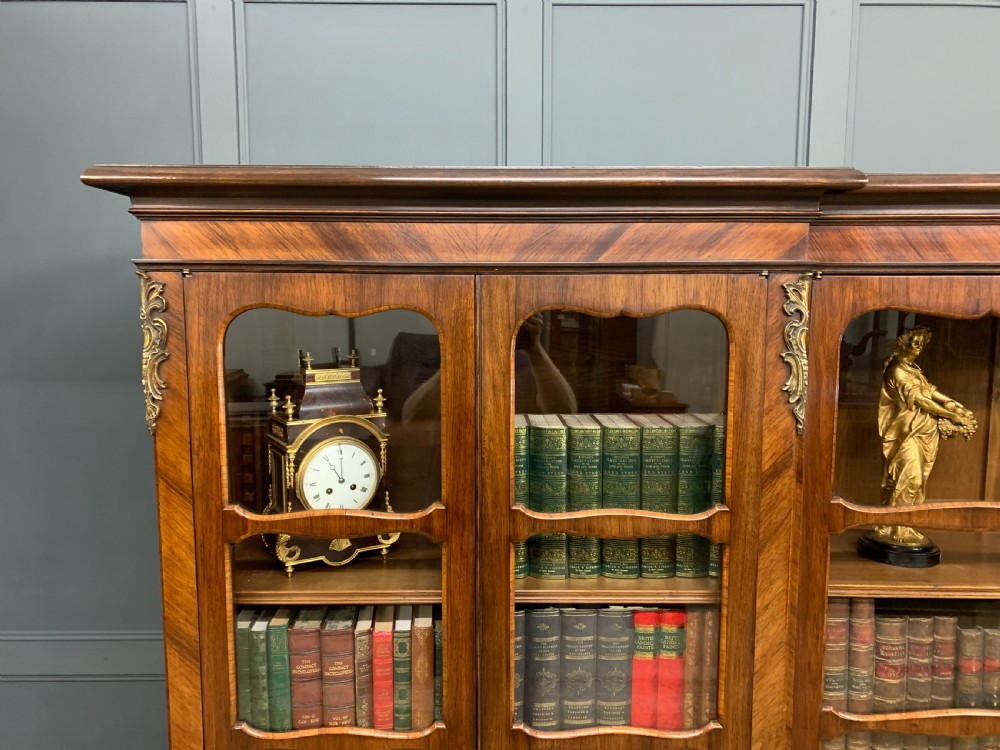 Large Sized French Kingwood Bookcase View IX
