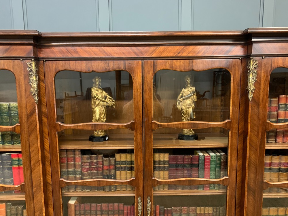 Large Sized French Kingwood Bookcase View XI