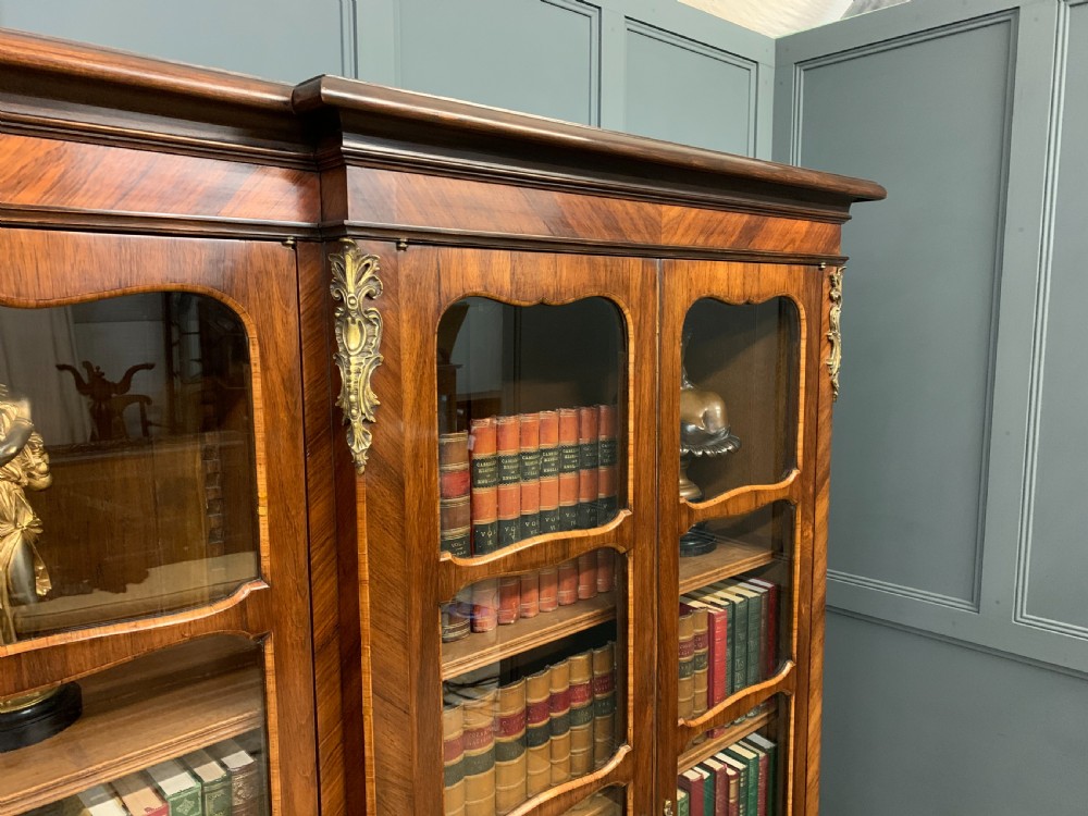 Large Sized French Kingwood Bookcase View XIII
