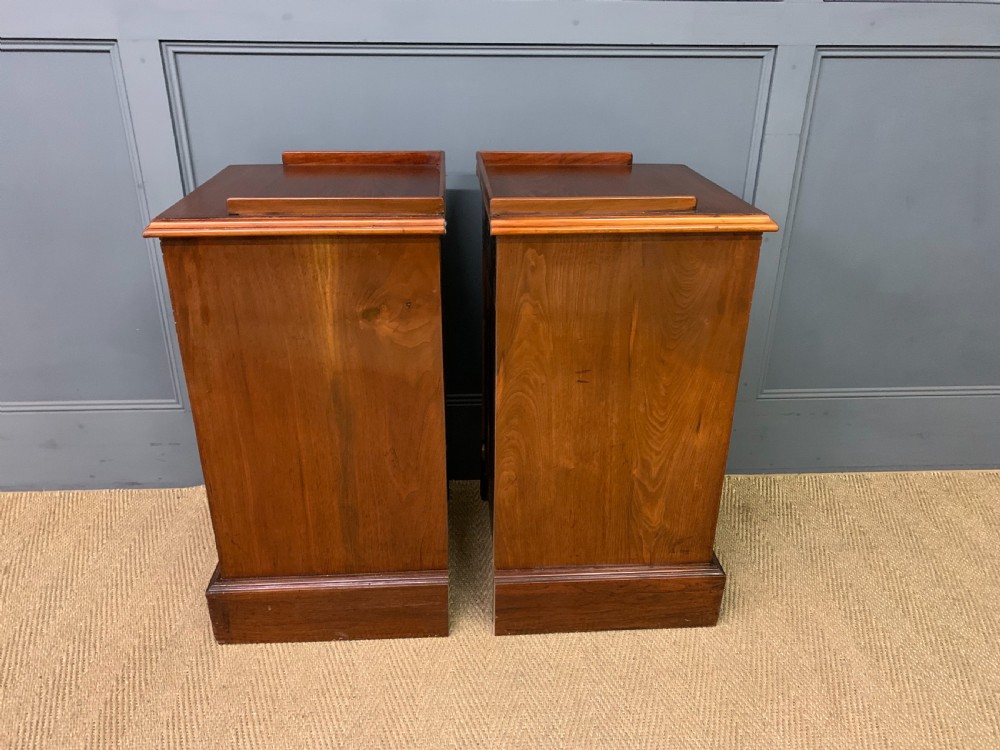 Pair of Victorian Bedside Cupboards View VII