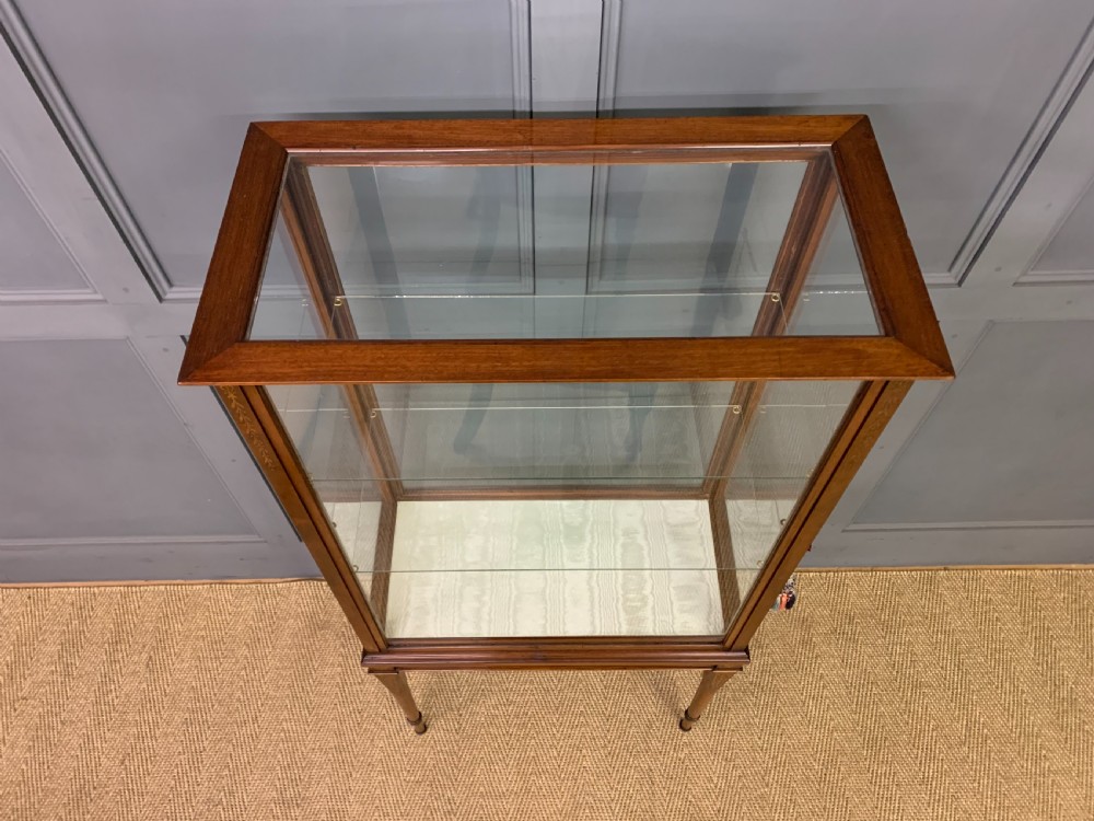 Inlaid Mahogany Display Cabinet View VII
