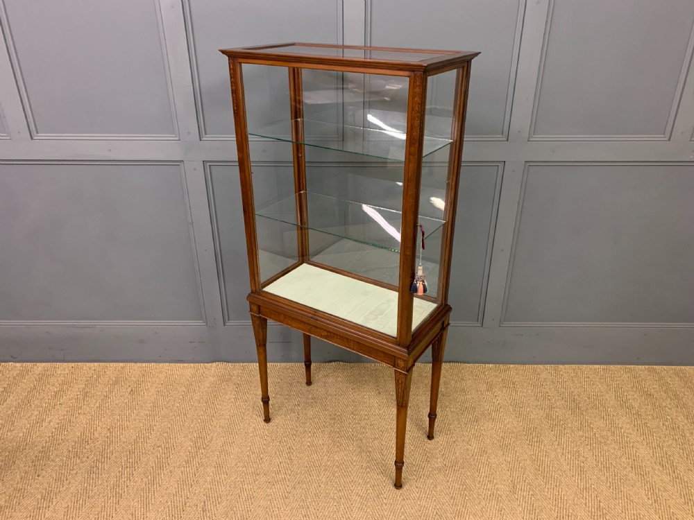Inlaid Mahogany Display Cabinet View XII