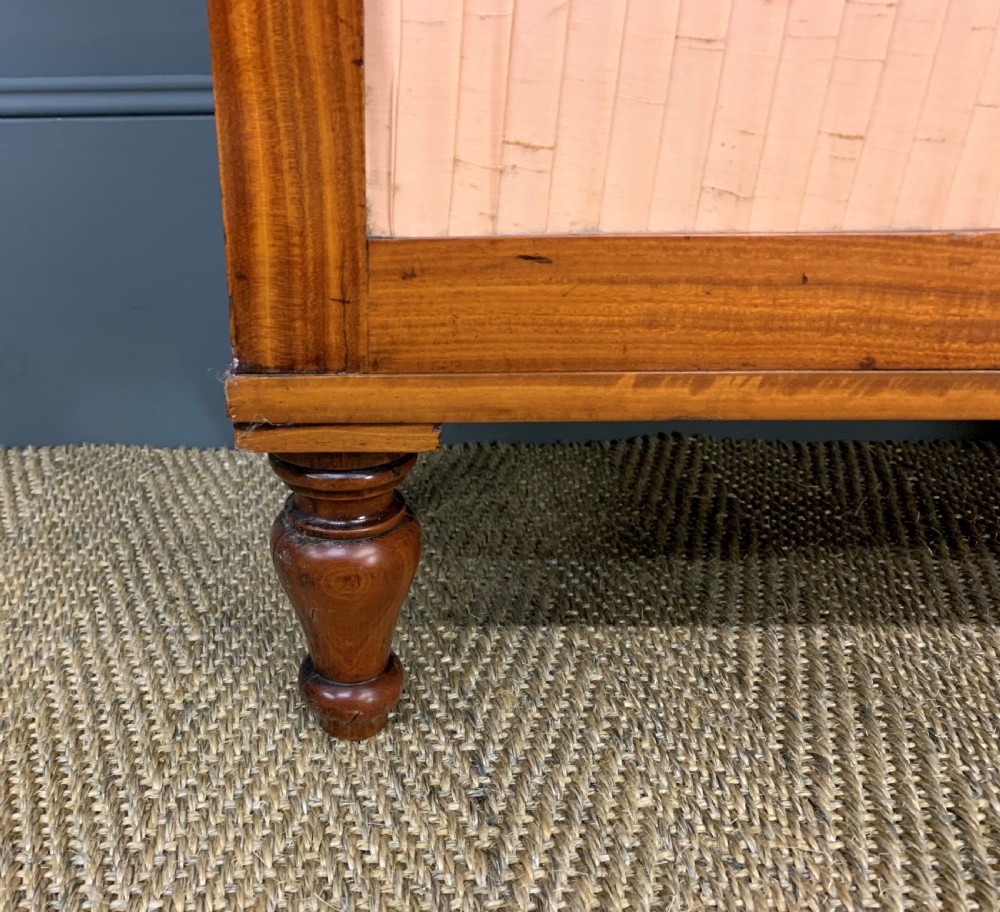 Regency Period Inlaid Satinwood Chiffonier View VII