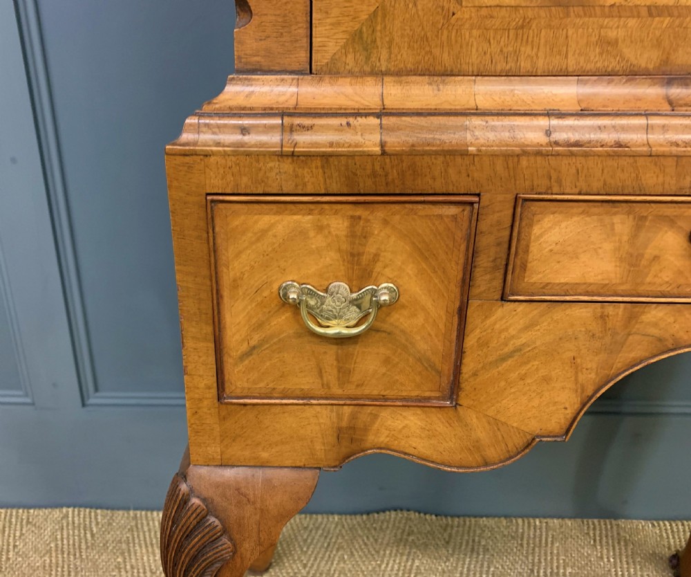 Burr Walnut Cupboard on Stand View VI