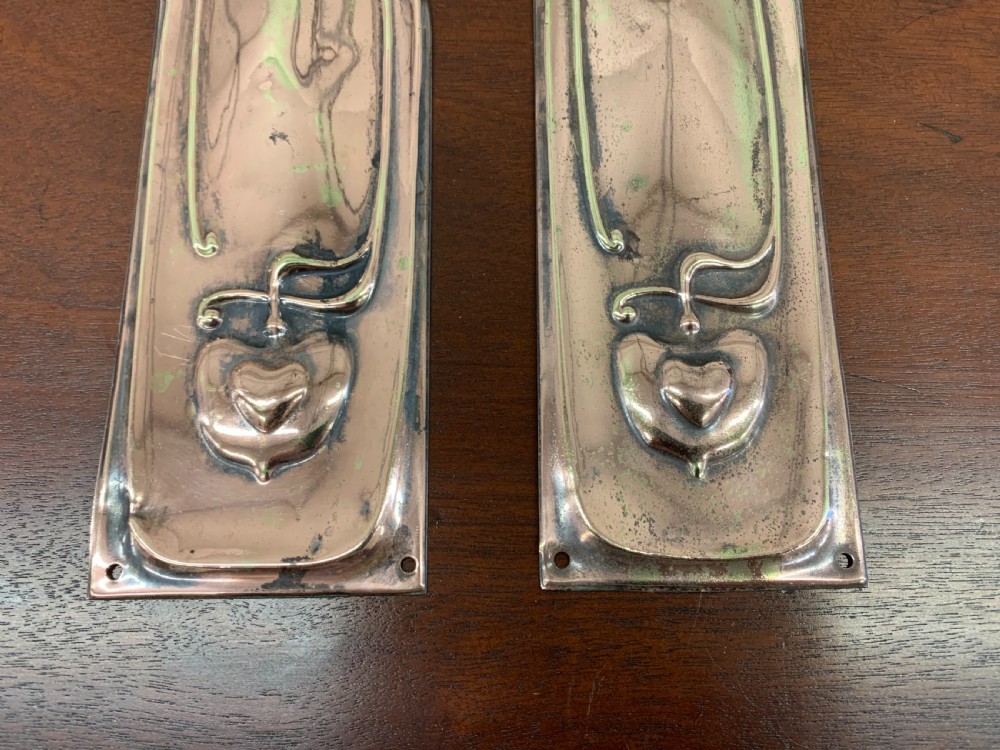 Pair of Art Nouveau Finger Plates View II