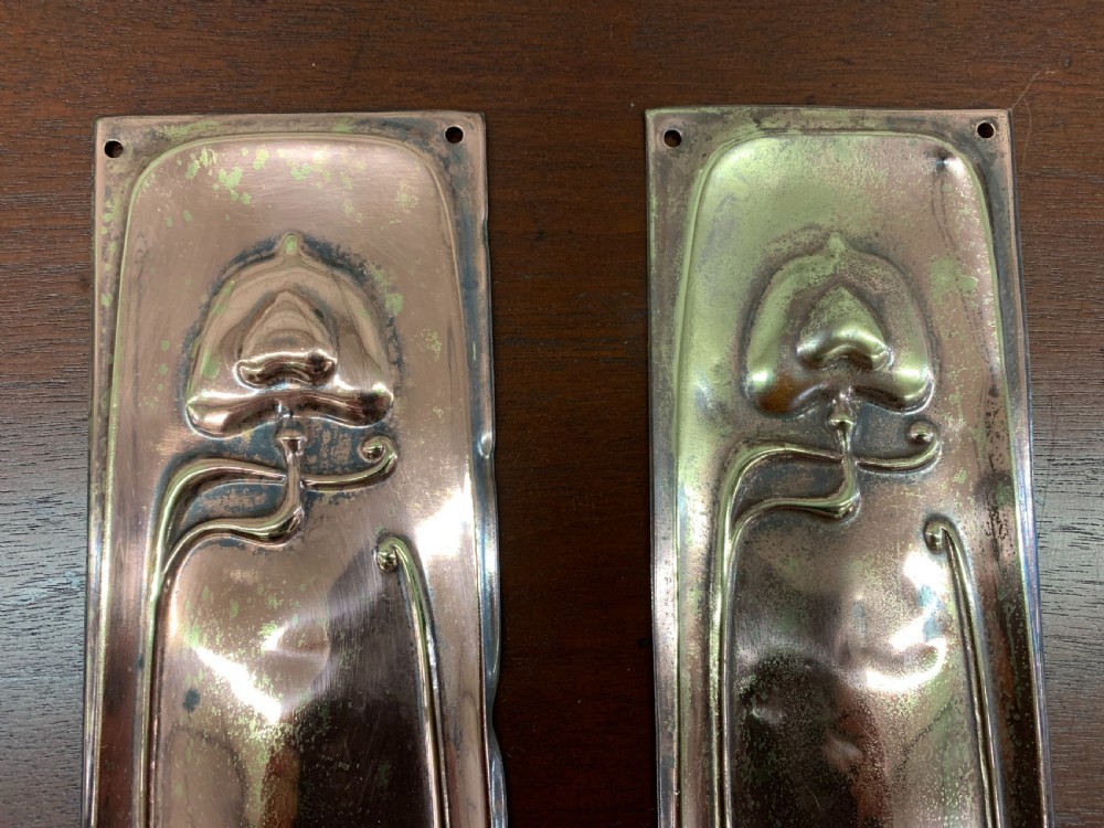 Pair of Art Nouveau Finger Plates View III