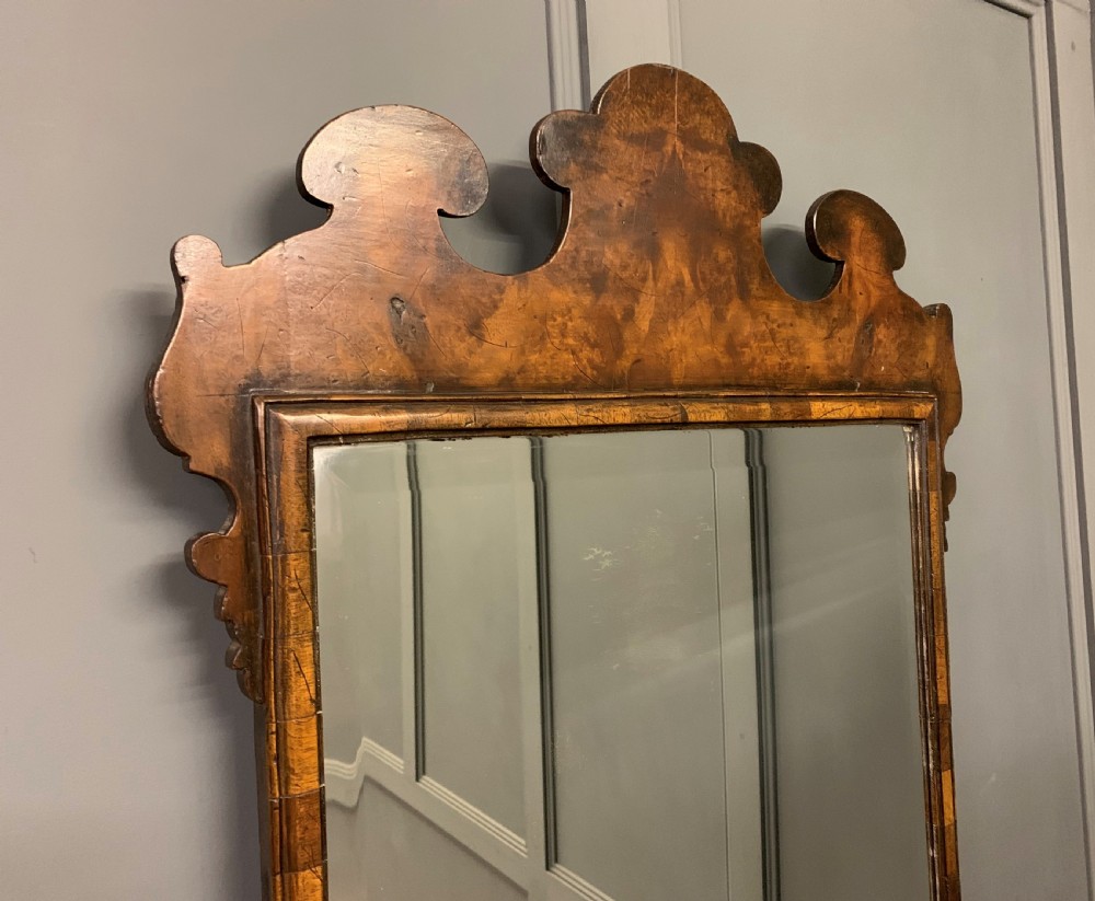 19th Century Burr Walnut Mirror View II
