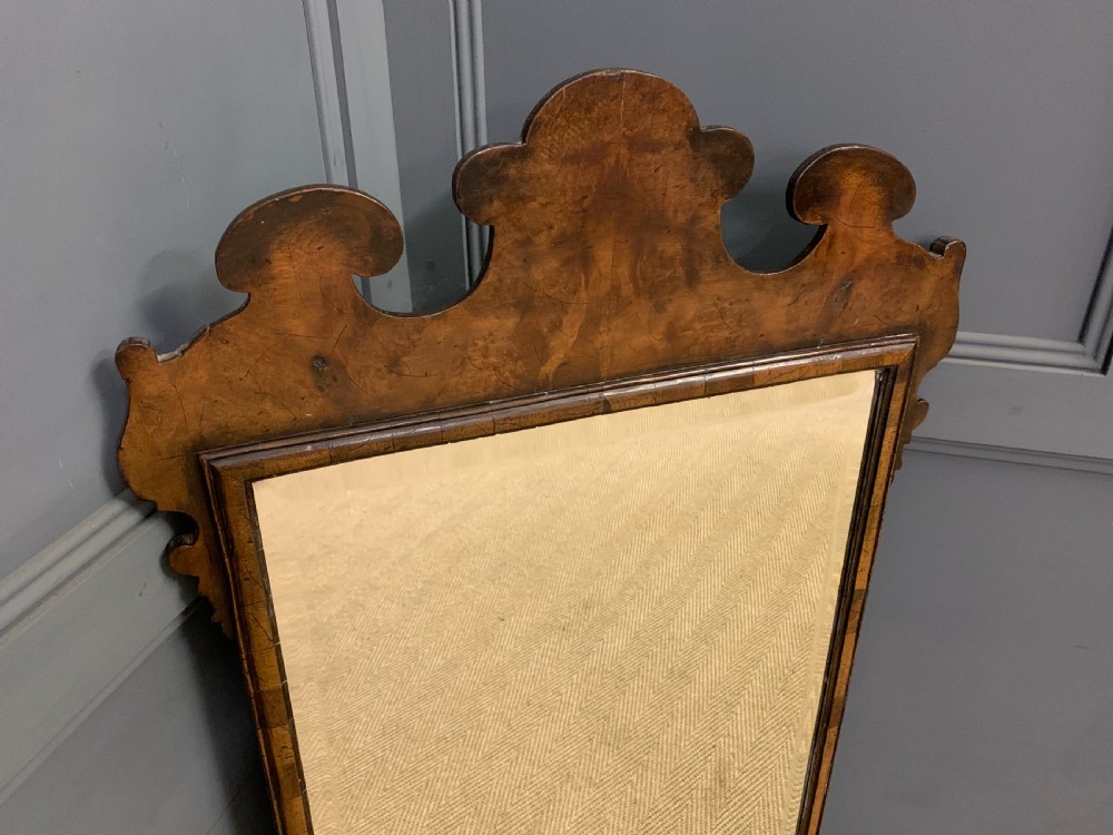 19th Century Burr Walnut Mirror View V