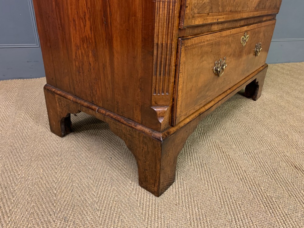 George II Burr Walnut Chest on Chest View X