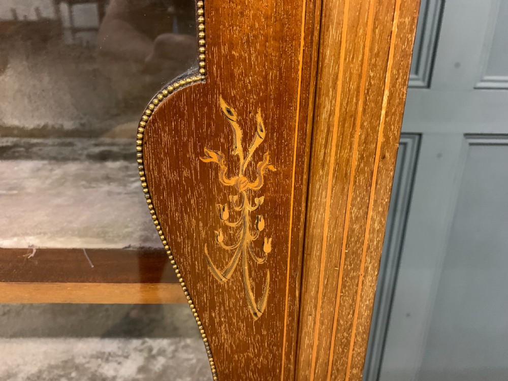 Inlaid Mahogany Vitrine View IX