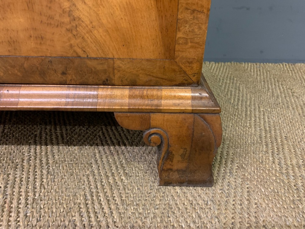 Burr Walnut Glazed Bookcase View VI