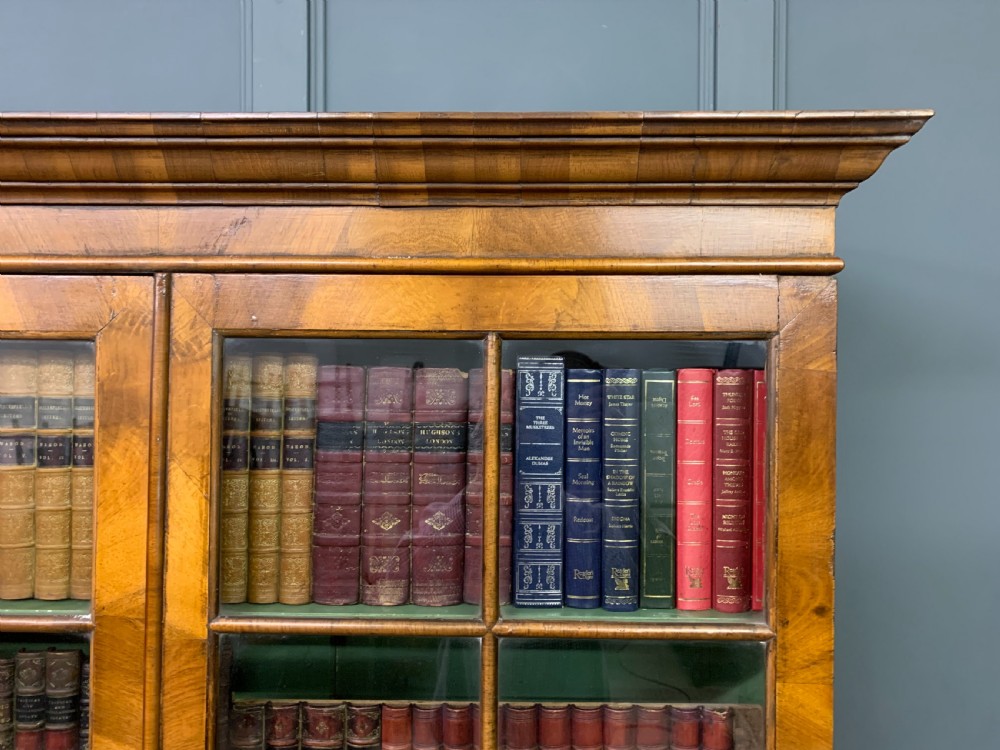 Burr Walnut Glazed Bookcase View XVI