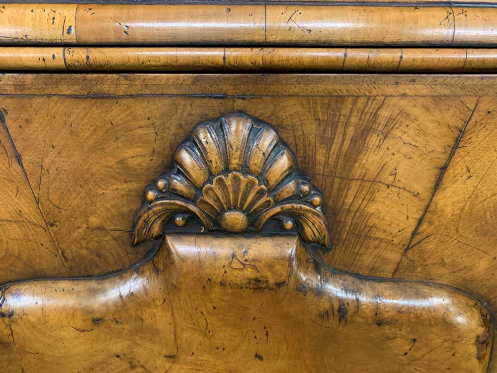Large Burr Walnut Bookcase View V
