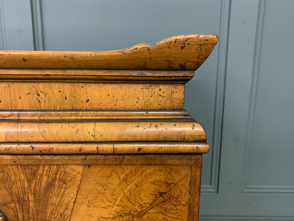 Large Burr Walnut Bookcase View XVII