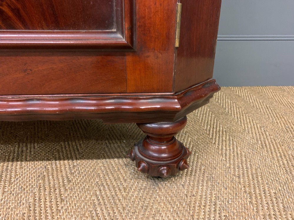 Large Victorian Mahogany Corner Cabinet View VI